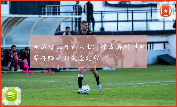 专访行业内部人士:深度解析14世界杯赔率制定全过程