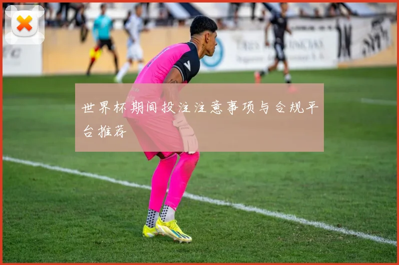 世界杯期间投注注意事项与合规平台推荐